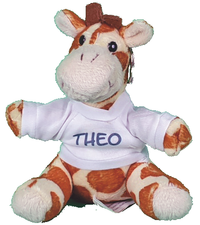 Theo Schlüsselanhänger
